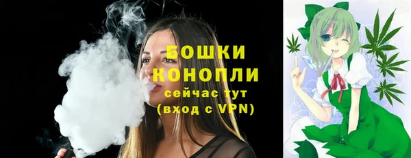 СК Белокуриха