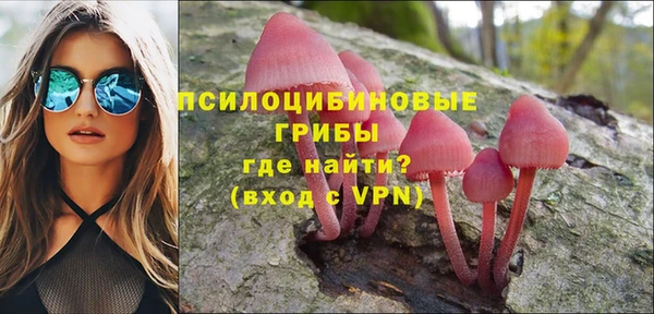 a pvp Беломорск