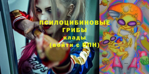 соль ск Белоозёрский