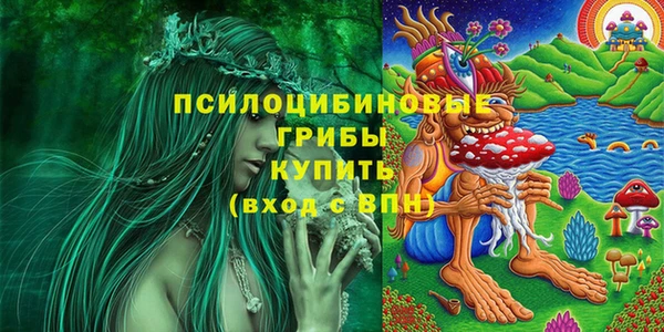 СК Белокуриха