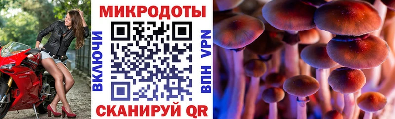 Галлюциногенные грибы мицелий  Пестово 